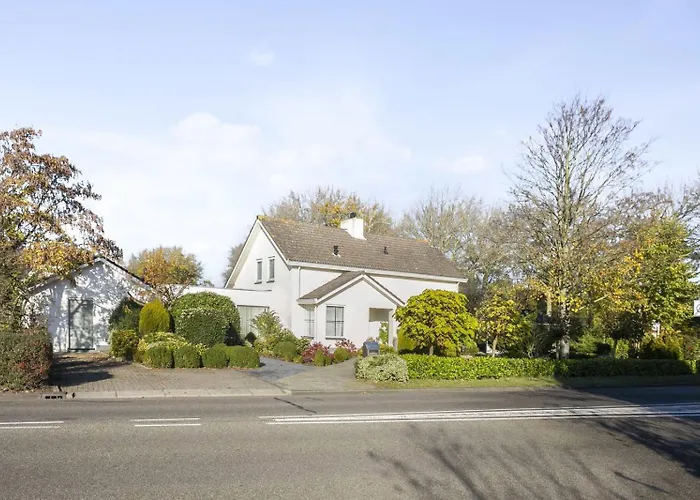 Bubbles - Near The With Big Garden - Not For Companies